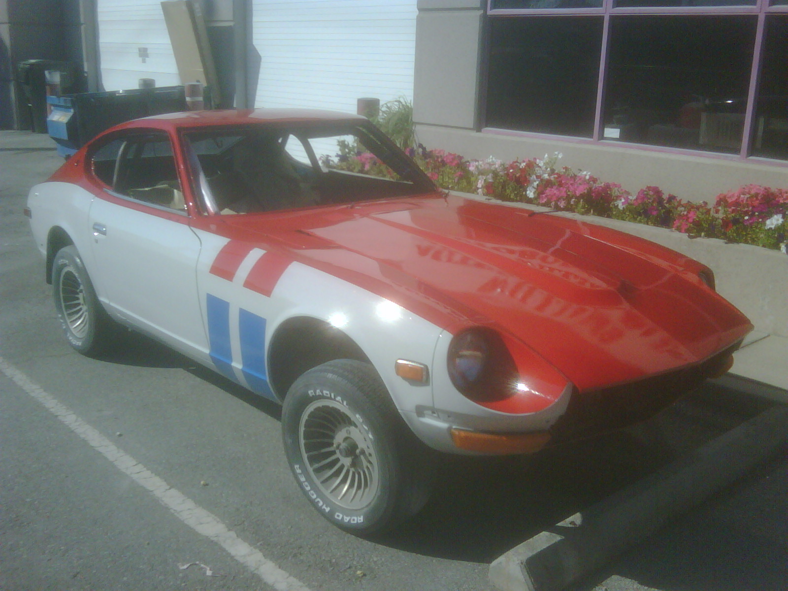IMG00529-20100710-1709.jpg